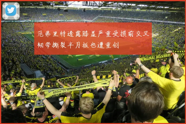 范弗里特透露膝盖严重受损前交叉韧带撕裂半月板也遭重创